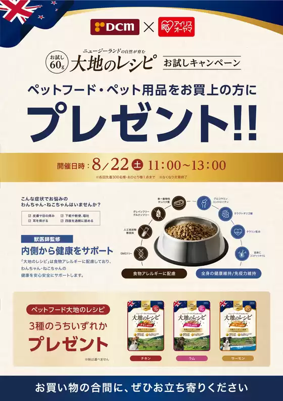 main_flyer image