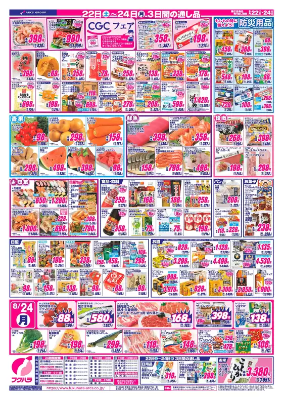 main_flyer image