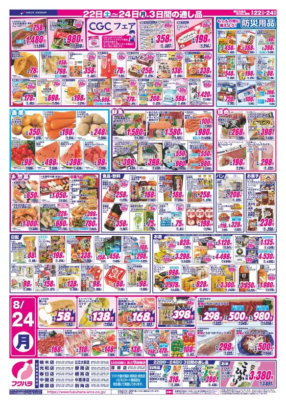 main_flyer image