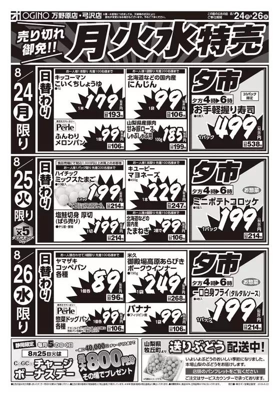 main_flyer image