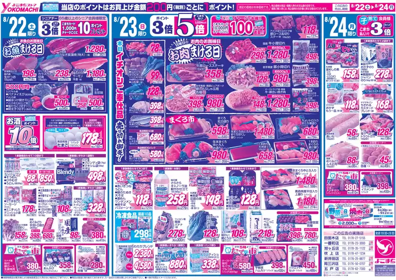 main_flyer image