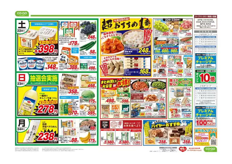 main_flyer image