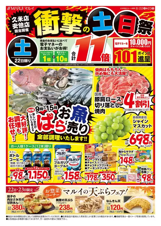 main_flyer image