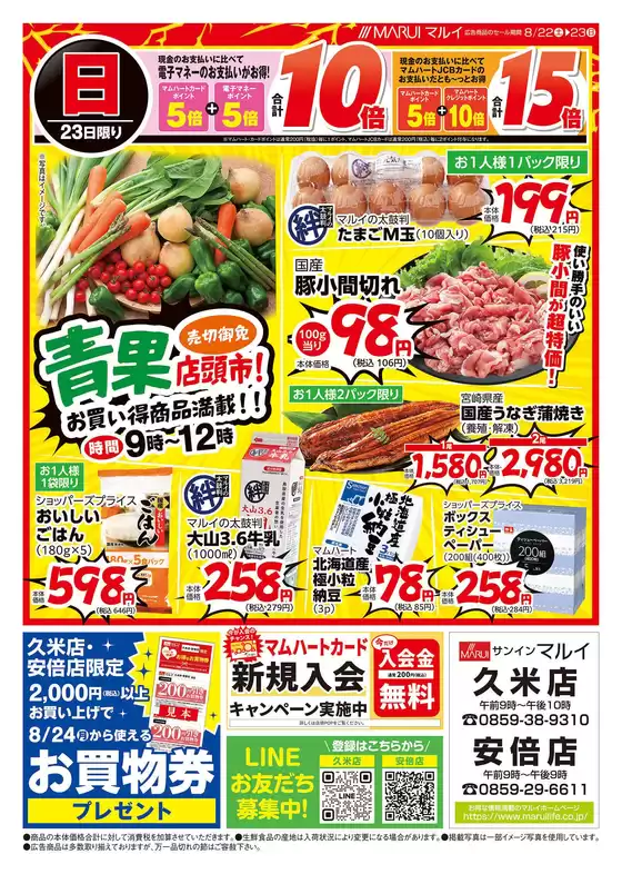 main_flyer image