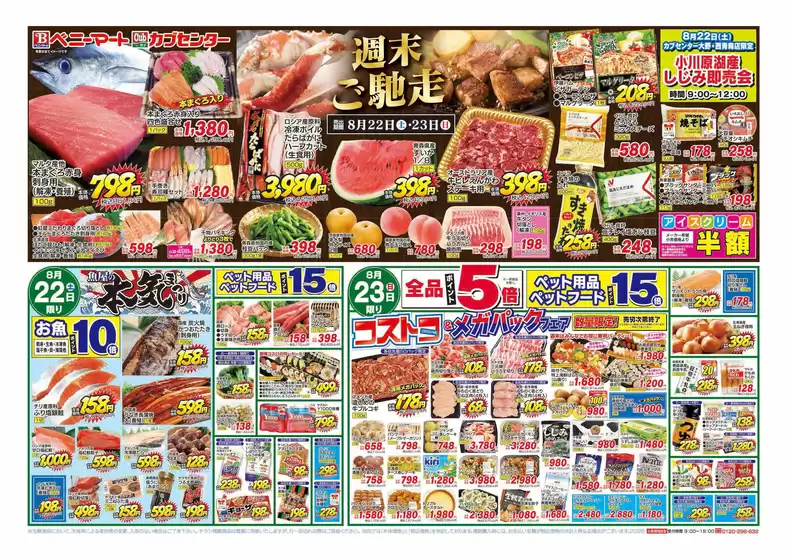 ベニーマートのカタログ | 選ばれた製品の素晴らしい割引 | 2026-08-22T00:00:00.000Z - 2026-08-23T00:00:00.000Z