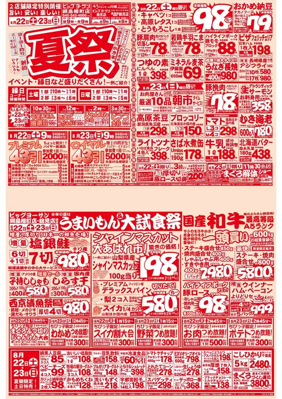 ビッグヨーサンのカタログ | 現在の掘り出し物とオファー | 2026-08-22T00:00:00.000Z - 2026-08-23T00:00:00.000Z