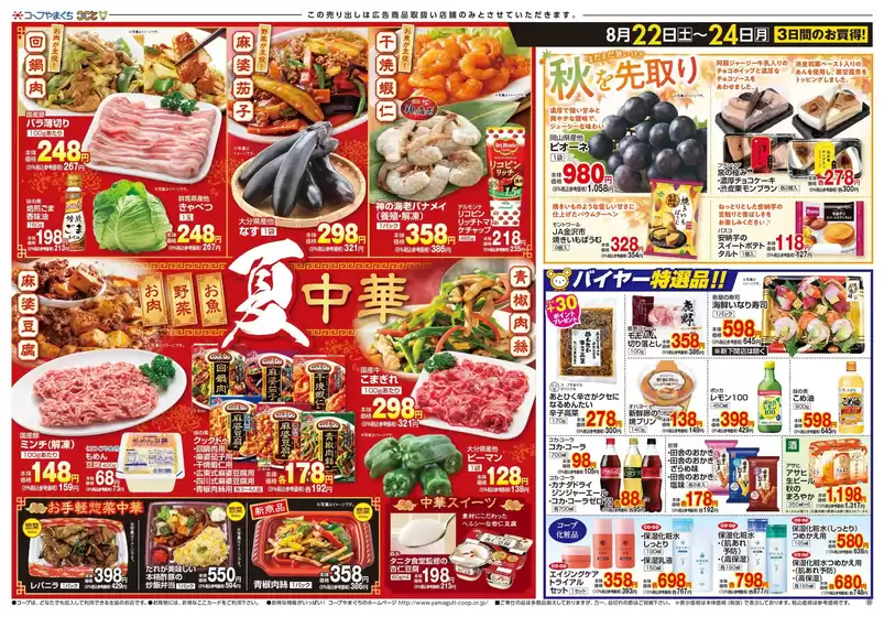 main_flyer image