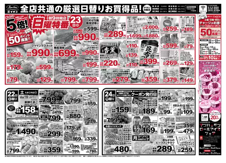 main_flyer image