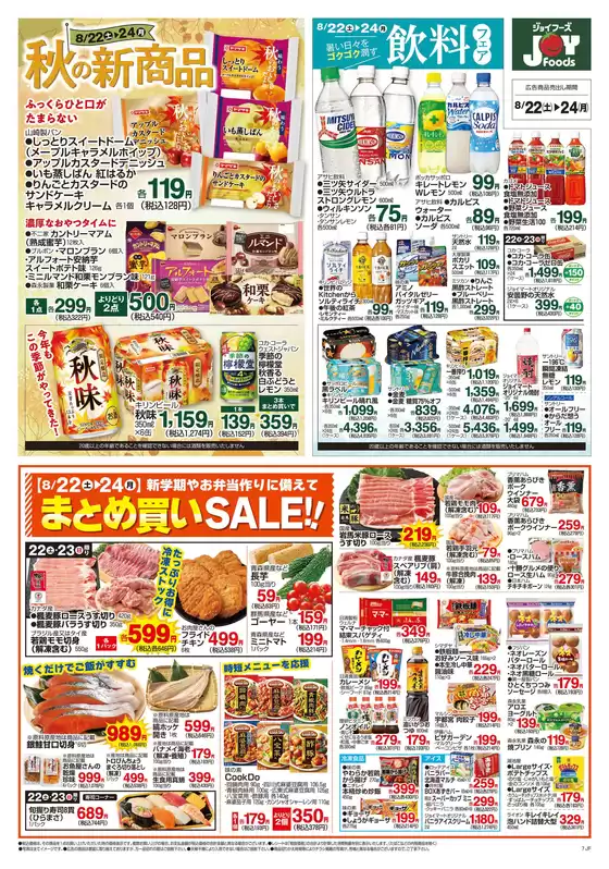 main_flyer image