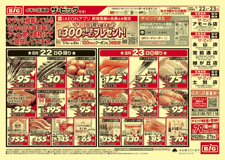 ザ・ビッグのカタログ | 倹約家のためのトップオファー | 2026-08-21T00:00:00.000Z - 2026-08-25T00:00:00.000Z