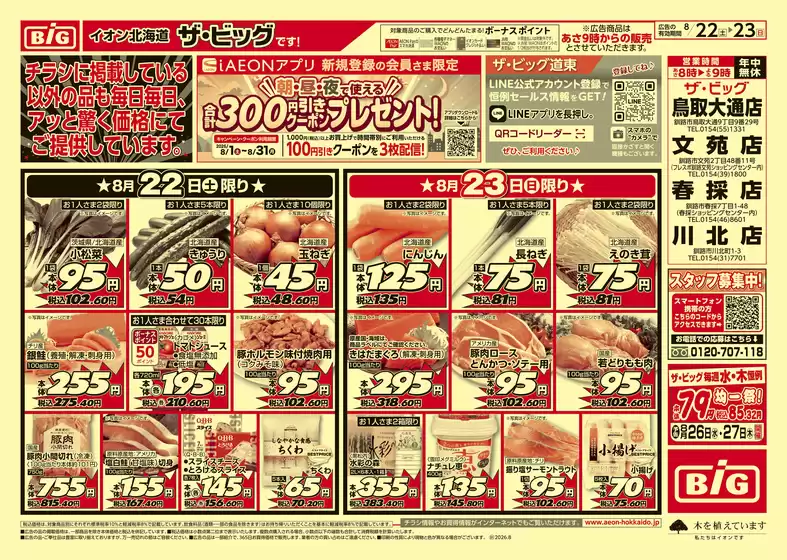 ザ・ビッグのカタログ | 掘り出し物ハンターのためのオファー | 2026-08-21T00:00:00.000Z - 2026-08-25T00:00:00.000Z