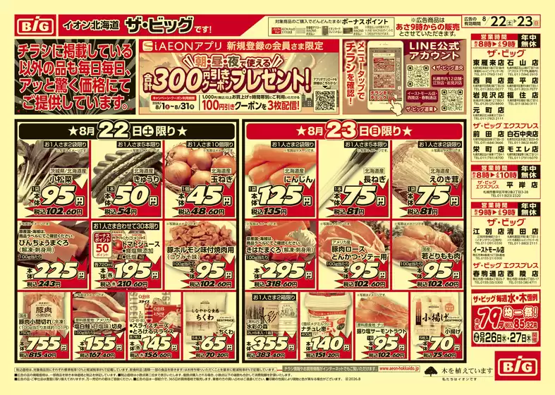 ザ・ビッグのカタログ | ザ・ビッグ チラシ | 2026-08-21T00:00:00.000Z - 2026-08-25T00:00:00.000Z
