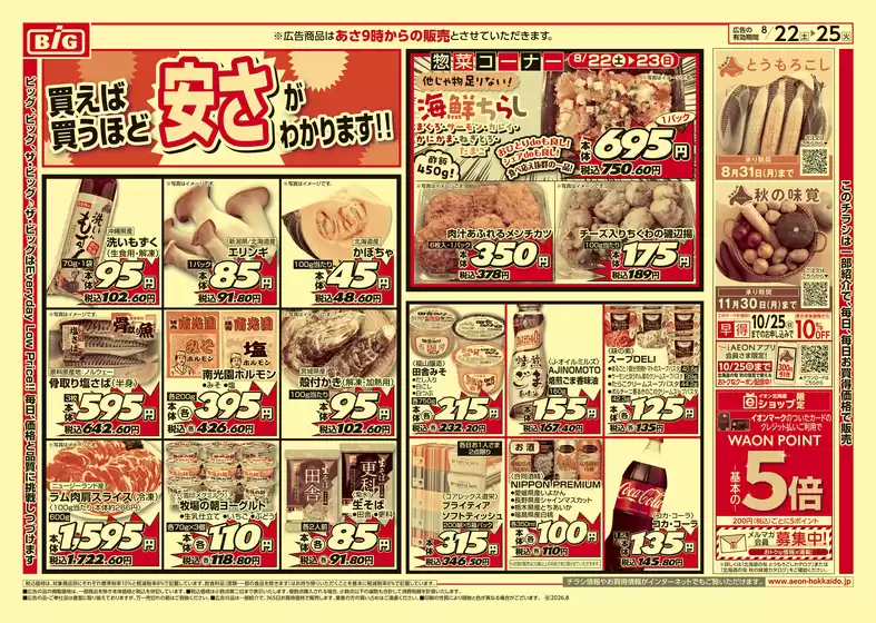 main_flyer image
