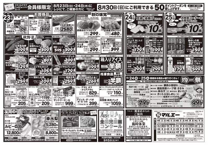 main_flyer image