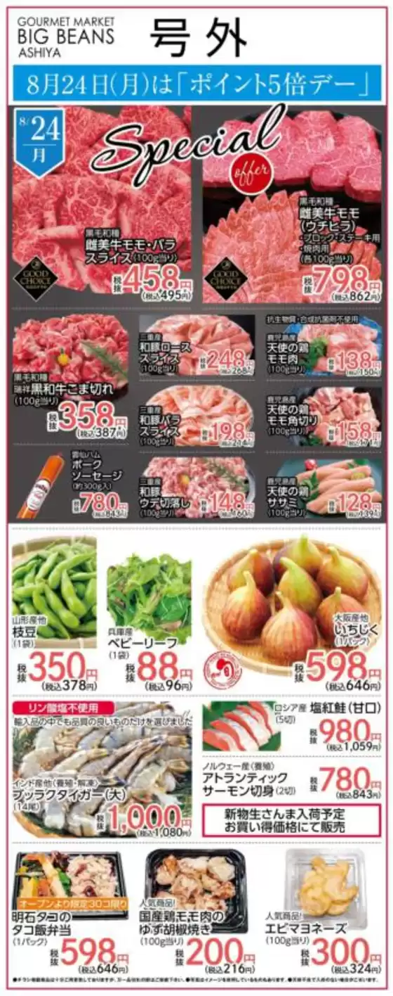 ビッグビーンズのカタログ | 芦屋店 | 2026-08-24T00:00:00.000Z - 2026-08-24T00:00:00.000Z