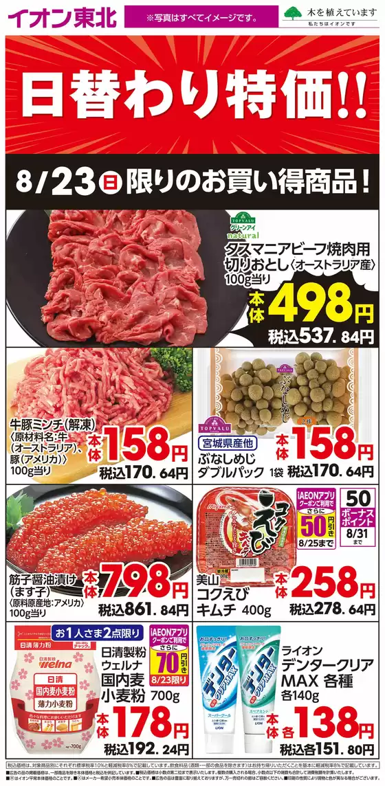 main_flyer image