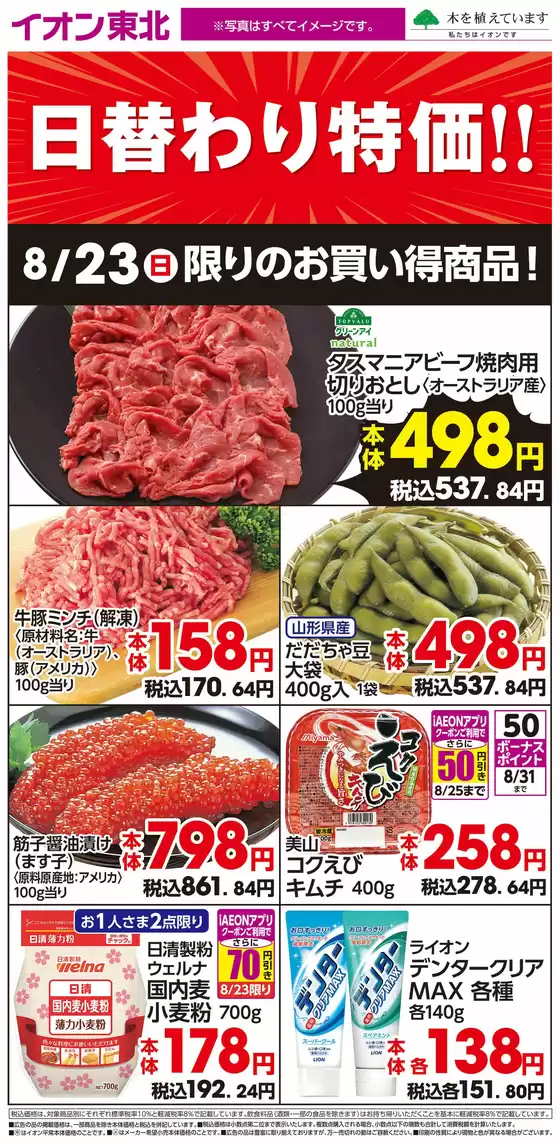main_flyer image