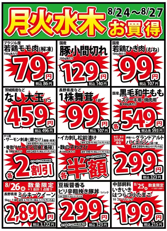 main_flyer image