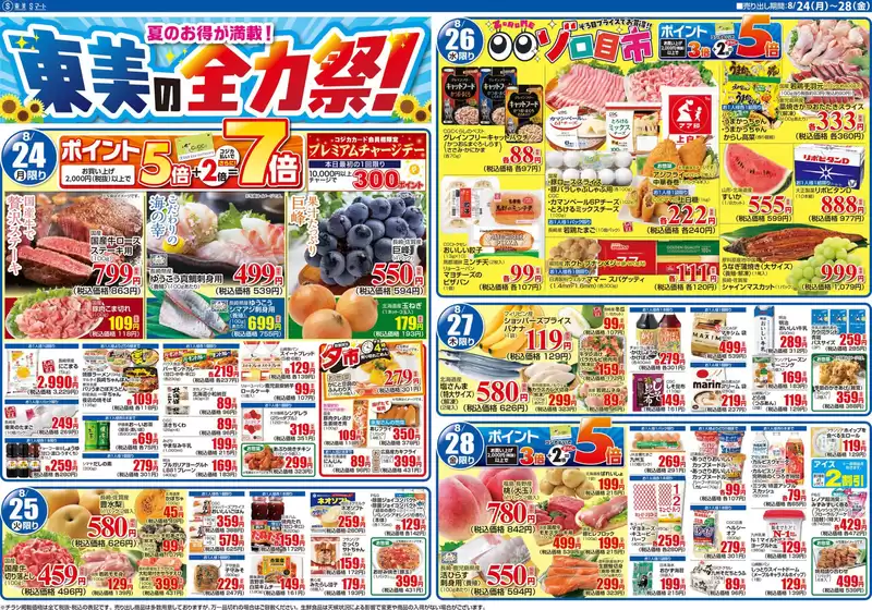 main_flyer image