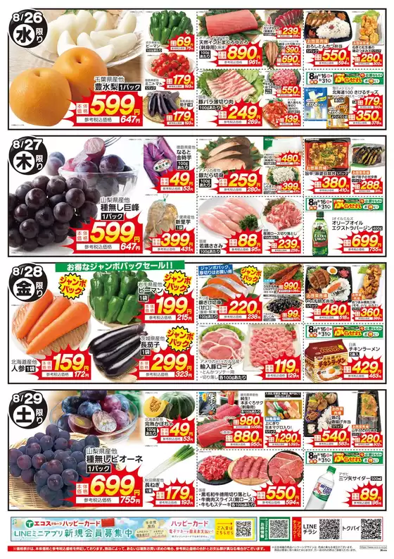 main_flyer image