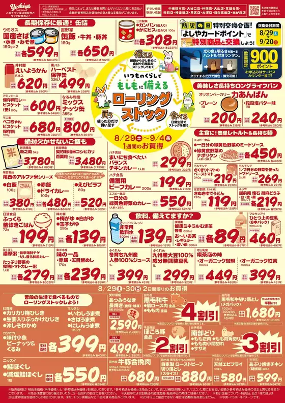 main_flyer image
