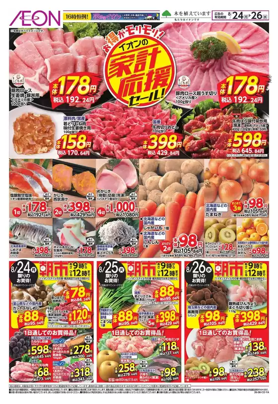 main_flyer image
