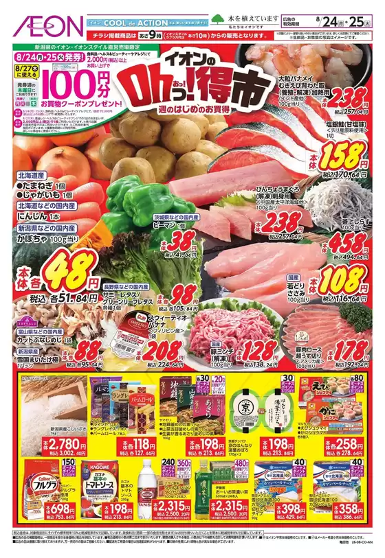 main_flyer image