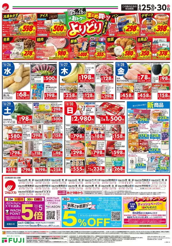 main_flyer image