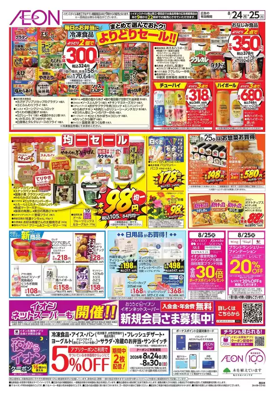 main_flyer image