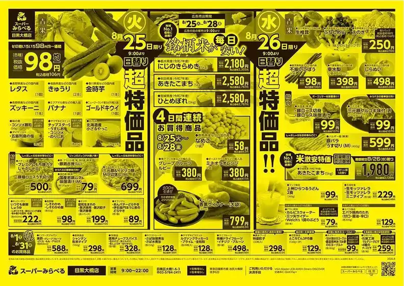 main_flyer image