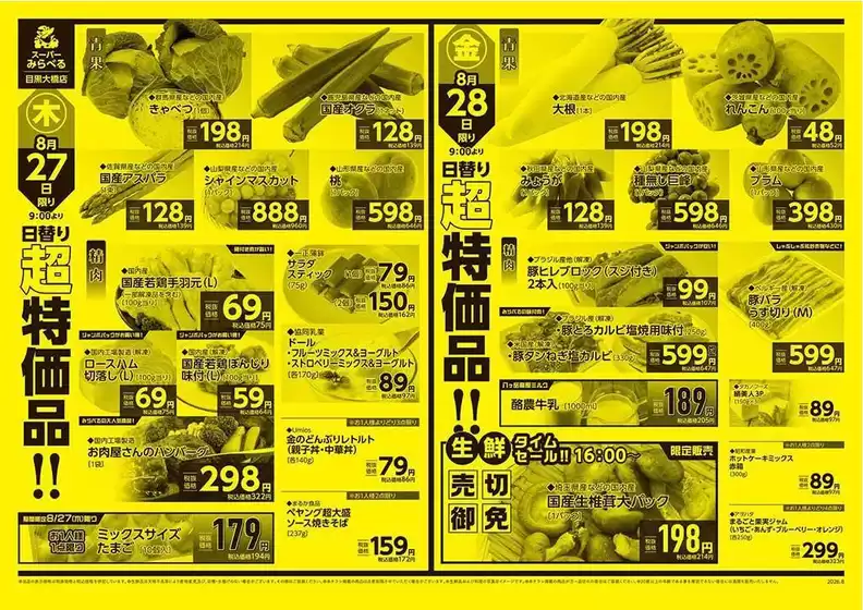 main_flyer image