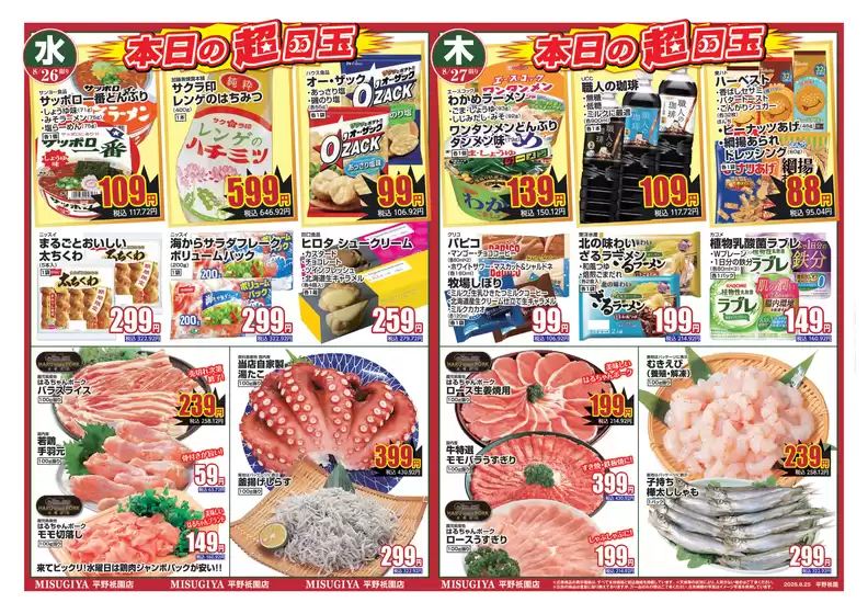 main_flyer image
