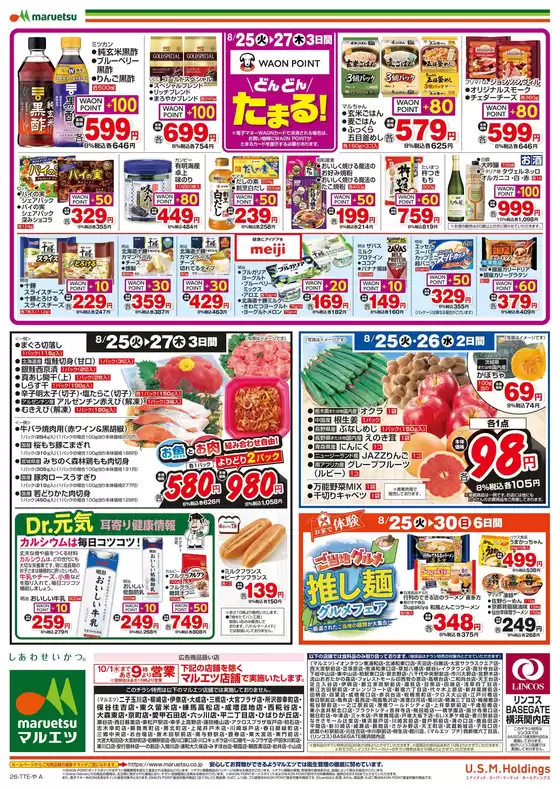 main_flyer image