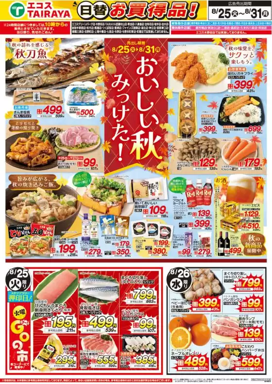 main_flyer image