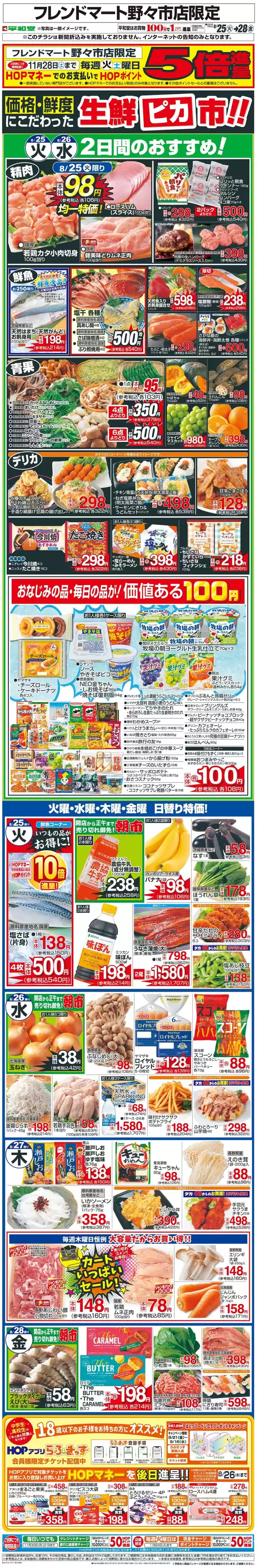 main_flyer image