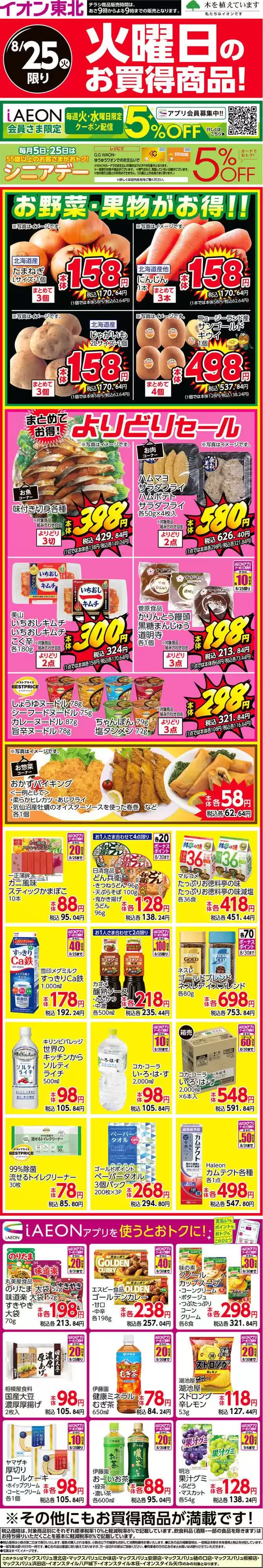 main_flyer image