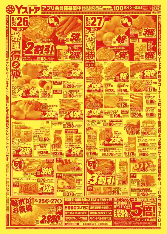 main_flyer image