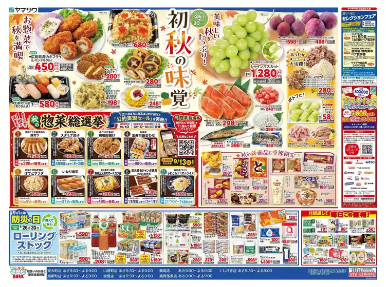 main_flyer image