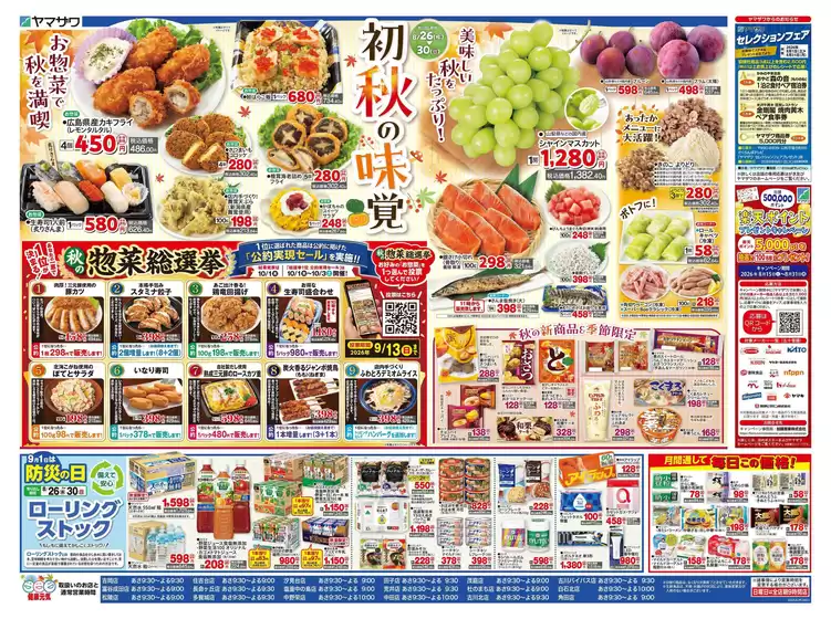 main_flyer image