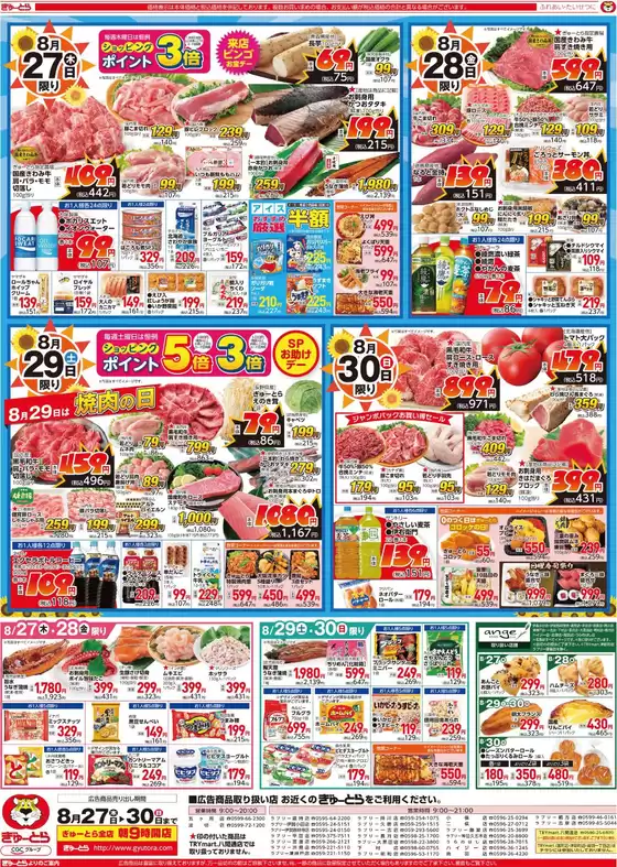 main_flyer image