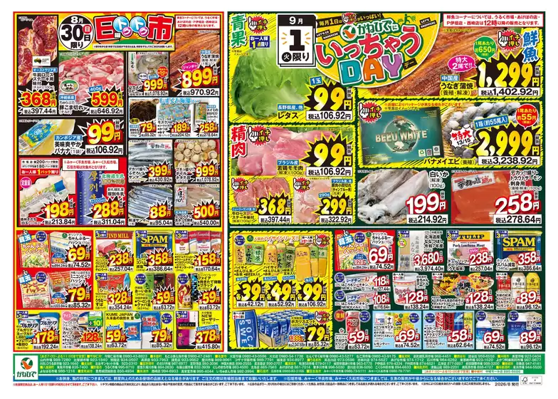 タウンプラザかねひでのカタログ | 現在の取引とオファー | 2026-08-27T00:00:00.000Z - 2026-09-01T00:00:00.000Z
