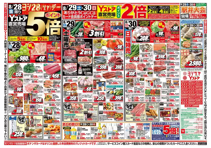 main_flyer image