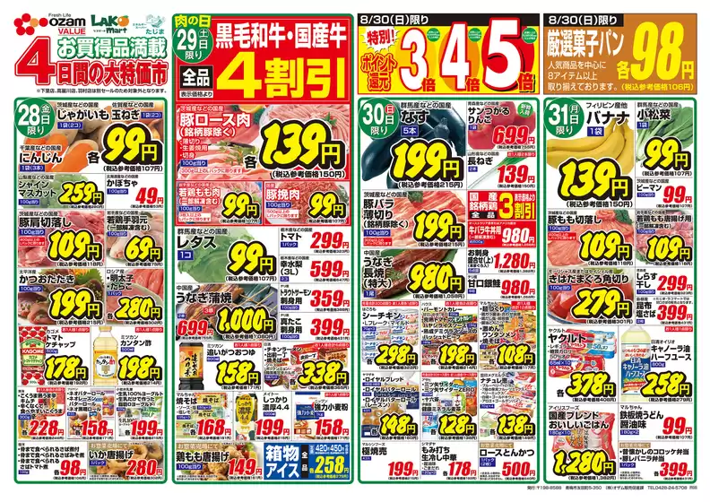 main_flyer image