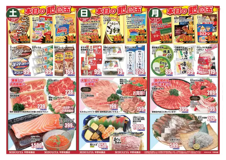 main_flyer image