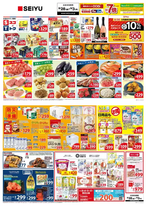 main_flyer image