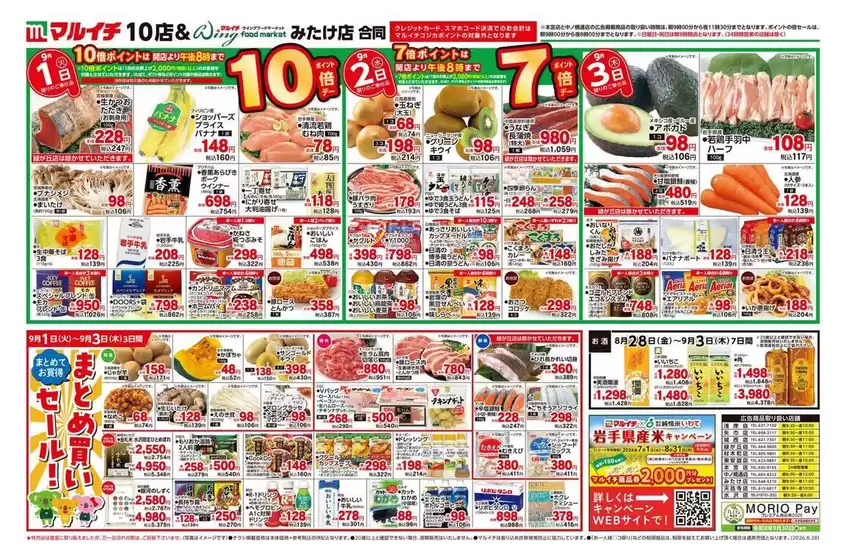 main_flyer image