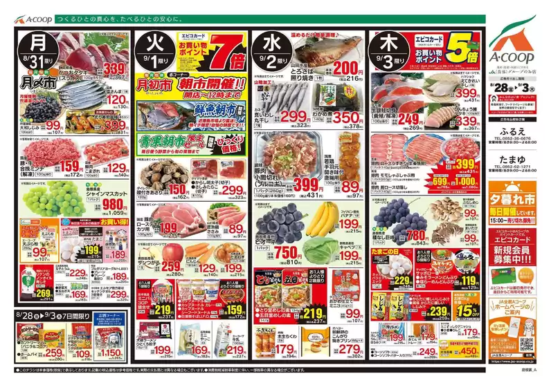 main_flyer image