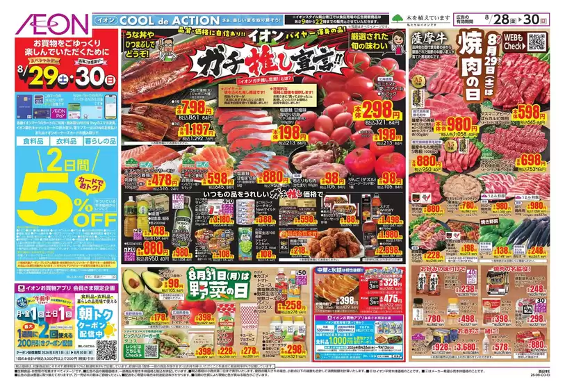 main_flyer image