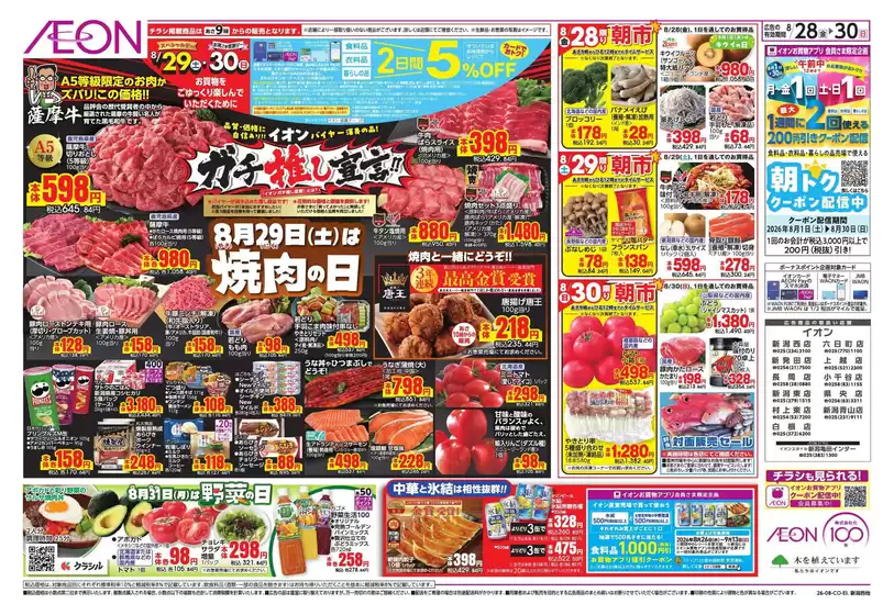 main_flyer image