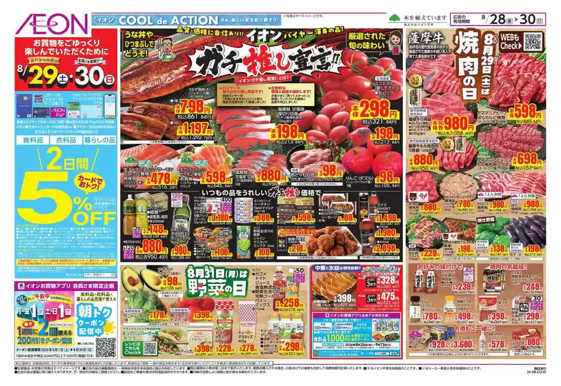 main_flyer image